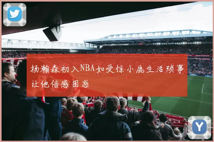 杨瀚森初入NBA如受惊小鹿生活琐事让他倍感困惑