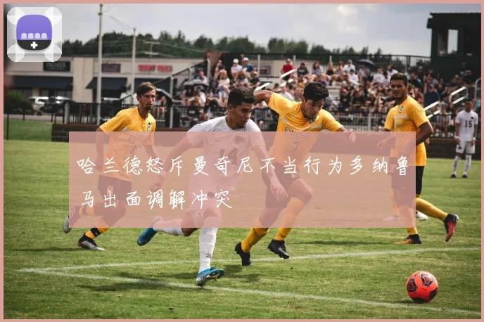 哈兰德怒斥曼奇尼不当行为多纳鲁马出面调解冲突