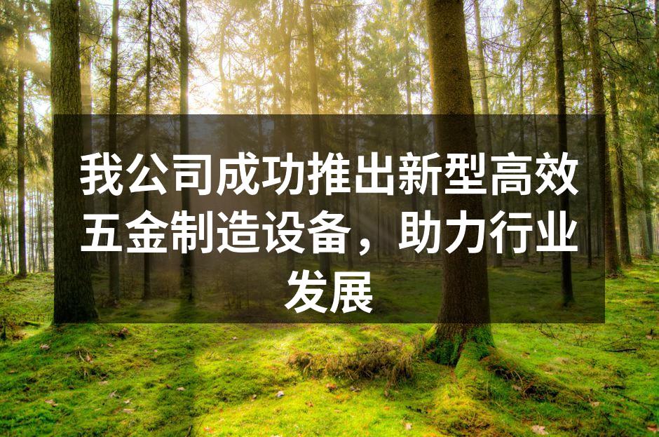 新型高效五金制造设备